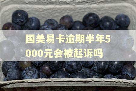 国美易卡逾期半年5000元会被起诉吗