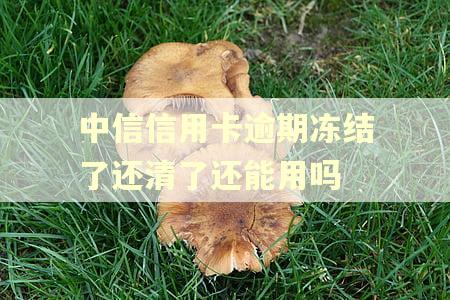 中信信用卡逾期冻结了还清了还能用吗 中信信用卡逾期冻结了还清了还能用吗