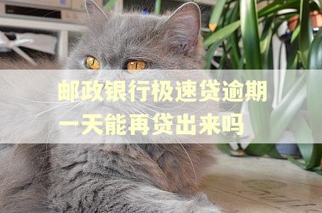邮政银行极速贷逾期一天能再贷出来吗