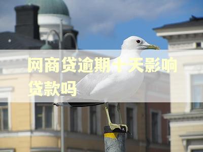 网商贷逾期十天影响贷款吗
