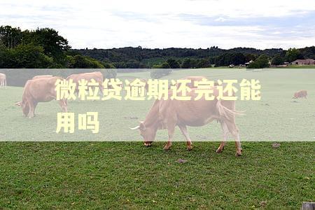 微粒贷逾期还完还能用吗