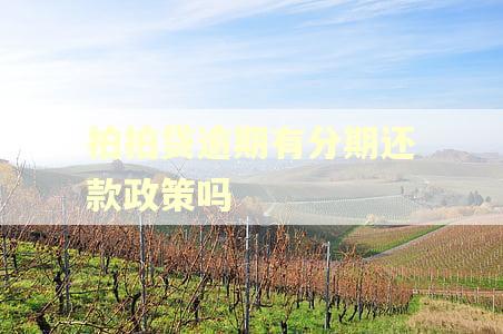 拍拍贷逾期有分期还款政策吗