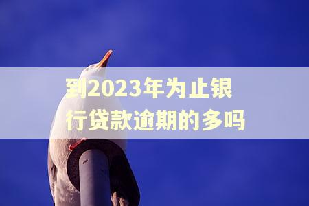 到2023年为止银行贷款逾期的多吗