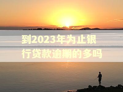 到2023年为止银行贷款逾期的多吗