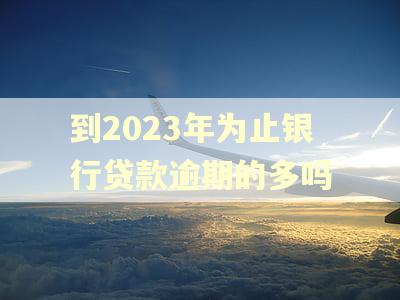 到2023年为止银行贷款逾期的多吗