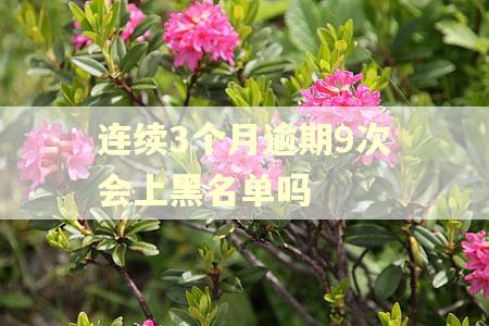 连续3个月逾期9次会上黑名单吗 连续3个月逾期9次会上黑名单吗