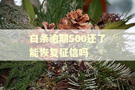 白条逾期500还了能恢复征信吗