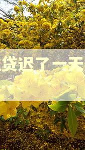 微粒贷迟了一天算逾期吗 微粒贷迟了一天算逾期吗