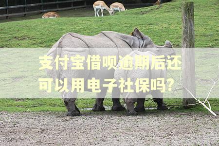 支付宝借呗逾期后还可以用电子社保吗?