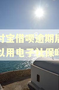 支付宝借呗逾期后还可以用电子社保吗?