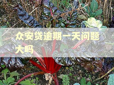 众安贷逾期一天问题大吗