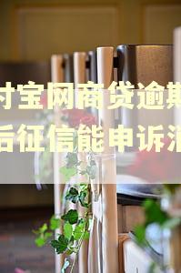支付宝网商贷逾期还款后征信能申诉消除吗