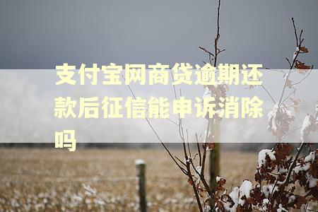 支付宝网商贷逾期还款后征信能申诉消除吗