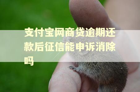 支付宝网商贷逾期还款后征信能申诉消除吗