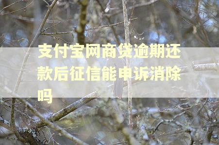 支付宝网商贷逾期还款后征信能申诉消除吗