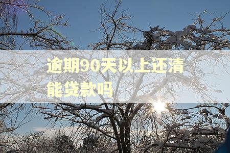 逾期90天以上还清能贷款吗