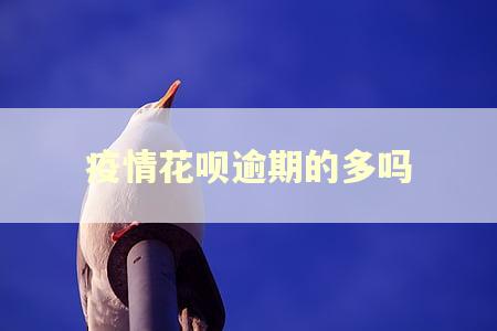疫情花呗逾期的多吗 疫情花呗逾期的多吗
