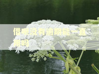 借呗没有逾期能一直用吗