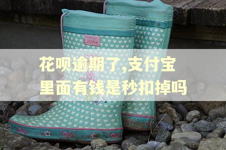 花呗逾期了,支付宝里面有钱是秒扣掉吗