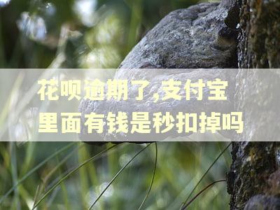 花呗逾期了,支付宝里面有钱是秒扣掉吗