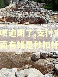 花呗逾期了,支付宝里面有钱是秒扣掉吗 花呗逾期了,支付宝里面有钱是秒扣掉吗