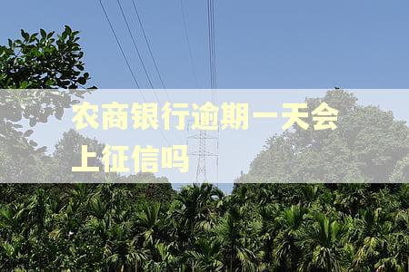 农商银行逾期一天会上征信吗