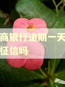 农商银行逾期一天会上征信吗