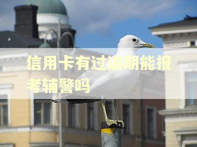 信用卡有过逾期能报考辅警吗 信用卡有过逾期能报考辅警吗