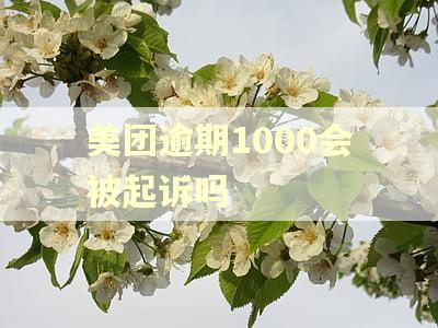 美团逾期1000会被起诉吗