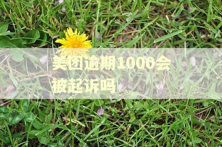 美团逾期1000会被起诉吗