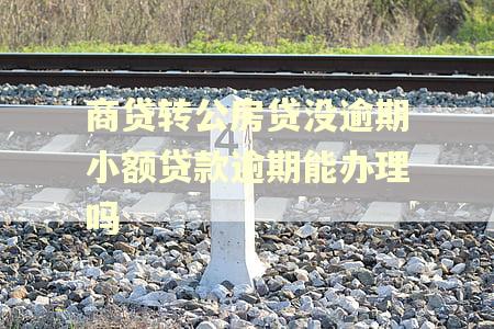 商贷转公房贷没逾期小额贷款逾期能办理吗