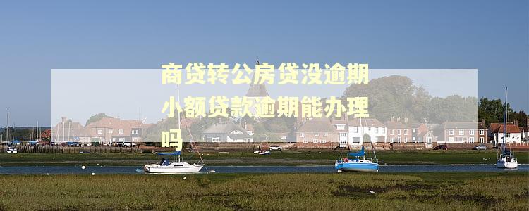 商贷转公房贷没逾期小额贷款逾期能办理吗 商贷转公房贷没逾期小额贷款逾期能办理吗