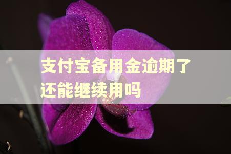 支付宝备用金逾期了还能继续用吗