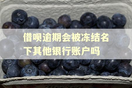 借呗逾期会被冻结名下其他银行账户吗 借呗逾期会被冻结名下其他银行账户吗