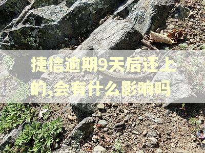 捷信逾期9天后还上的,会有什么影响吗