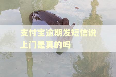 支付宝逾期发短信说上门是真的吗