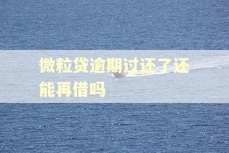 微粒贷逾期过还了还能再借吗