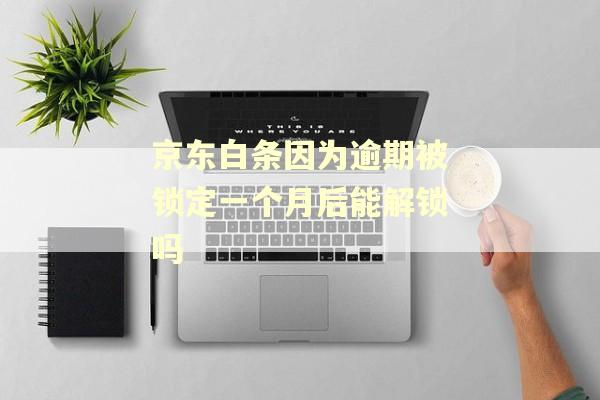京东白条因为逾期被锁定一个月后能解锁吗
