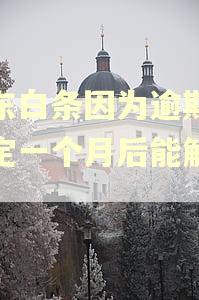 京东白条因为逾期被锁定一个月后能解锁吗