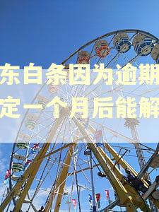 京东白条因为逾期被锁定一个月后能解锁吗