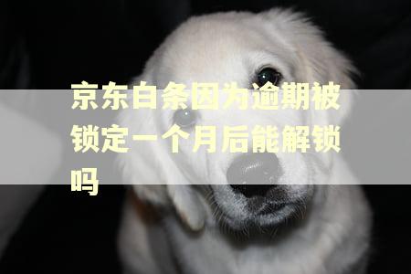 京东白条因为逾期被锁定一个月后能解锁吗