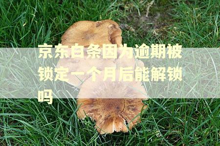京东白条因为逾期被锁定一个月后能解锁吗