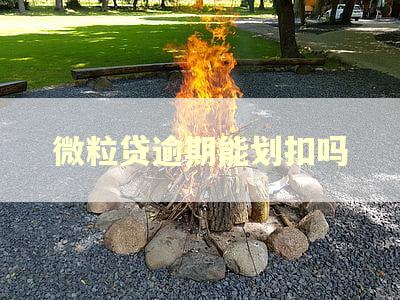 微粒贷逾期能划扣吗