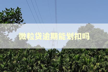 微粒贷逾期能划扣吗 微粒贷逾期能划扣吗