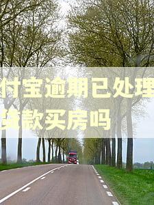 支付宝逾期已处理完能贷款买房吗