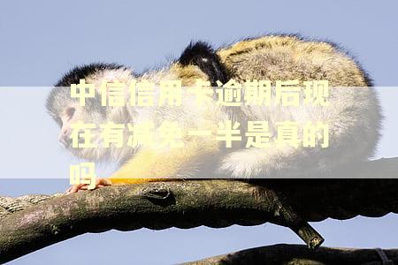 中信信用卡逾期后现在有减免一半是真的吗