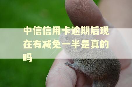 中信信用卡逾期后现在有减免一半是真的吗
