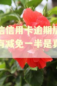 中信信用卡逾期后现在有减免一半是真的吗