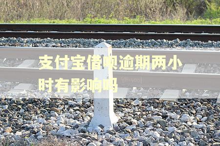 支付宝借呗逾期两小时有影响吗