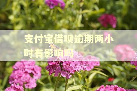 支付宝借呗逾期两小时有影响吗